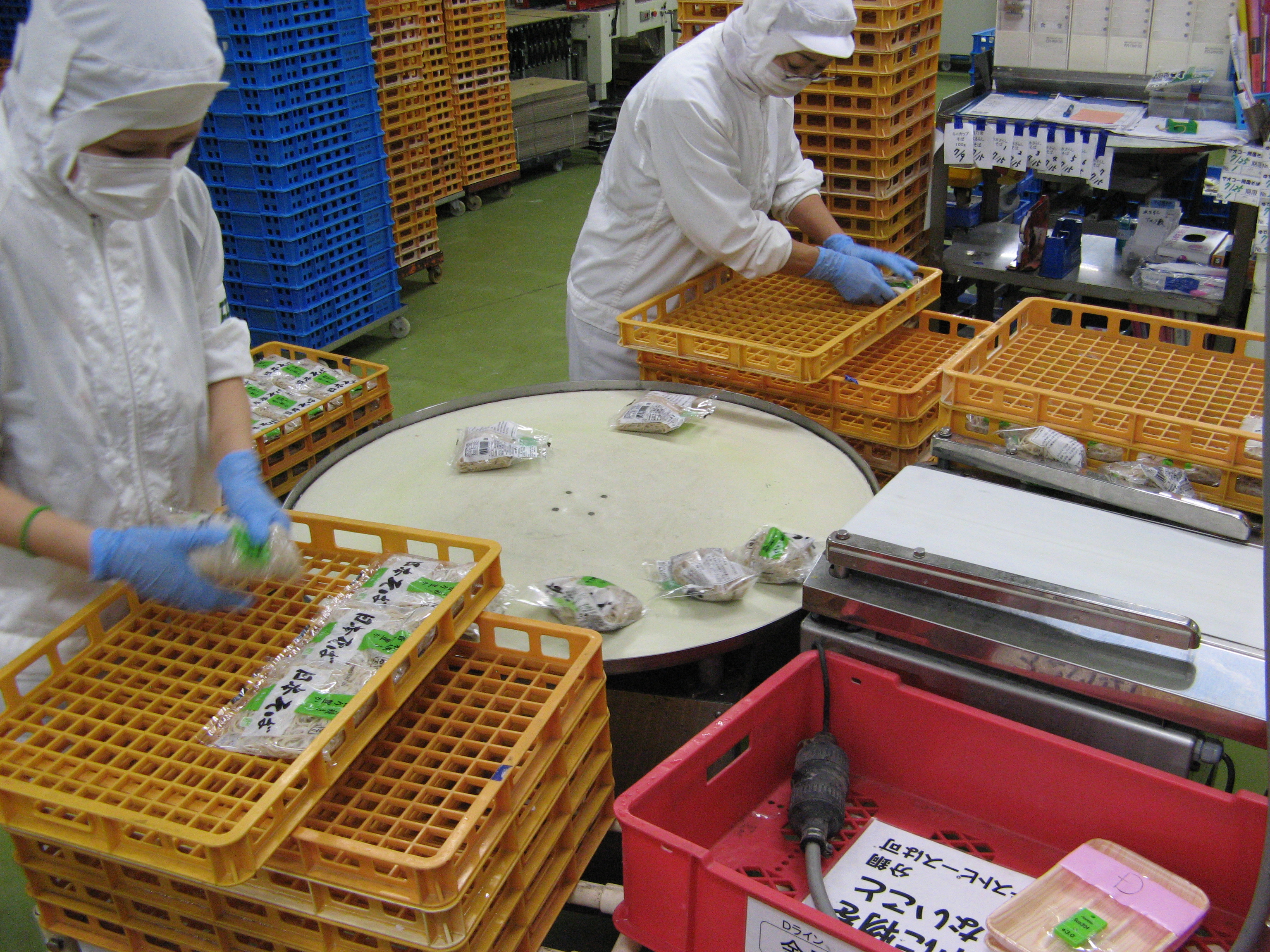 食品工場実習